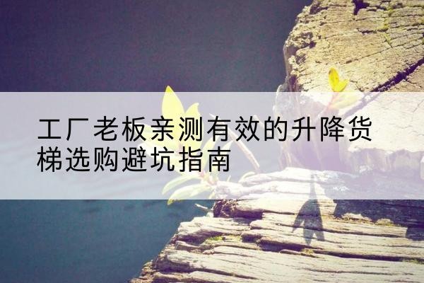 汝阳升降货梯怎么选-工厂老板亲测有效的升降货梯选购避坑指南