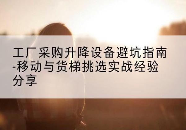 汝阳移动式升降机怎么选-工厂采购升降设备避坑指南-移动与货梯挑选实战经验分享