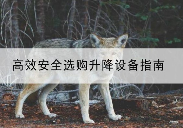 汝阳升降货梯厂家推荐-*安全选购升降设备指南
