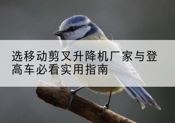 汝阳电动升降机厂家-选移动剪叉升降机厂家与登高车必看实用指南