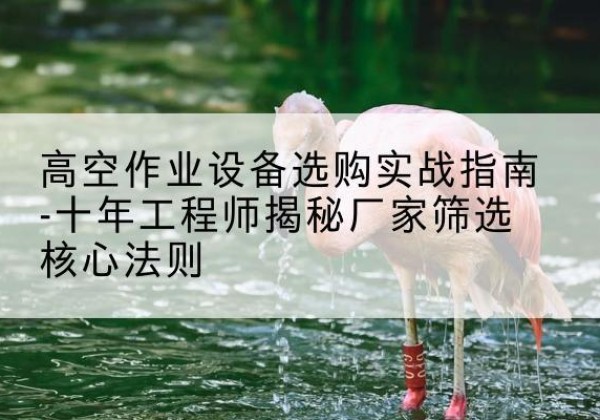 汝阳剪叉式升降机厂家-高空作业设备选购实战指南-十年工程师揭秘厂家筛选核心法则