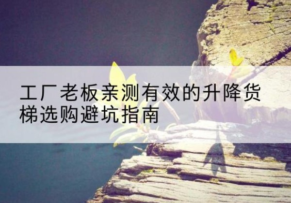 汝阳升降货梯怎么选-工厂老板亲测有效的升降货梯选购避坑指南
